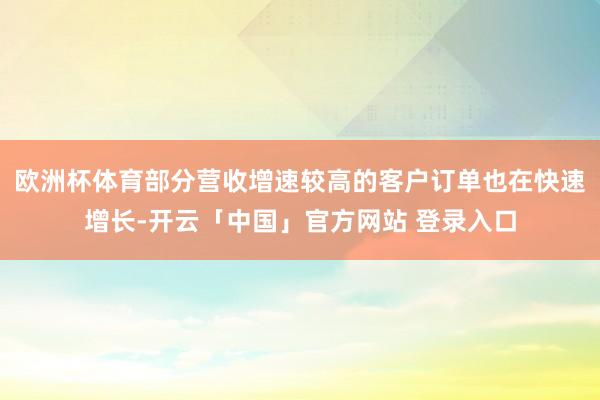 欧洲杯体育部分营收增速较高的客户订单也在快速增长-开云「中国」官方网站 登录入口