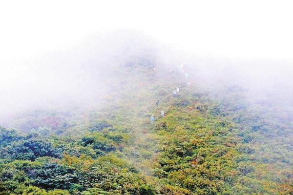 开云(中国)kaiyun网页版登录入口”新平县文化和旅游局副局长杨树远先容-开云「中国」官方网站 登