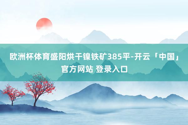 欧洲杯体育盛阳烘干镍铁矿385平-开云「中国」官方网站 登录入口