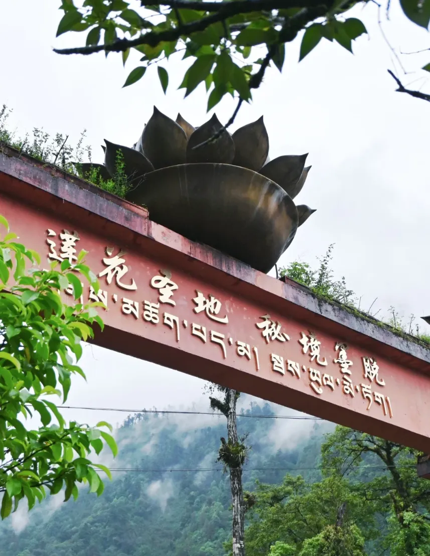开云体育(中国)官方网站我将带你走进西藏的墨脱-开云「中国」官方网站 登录入口