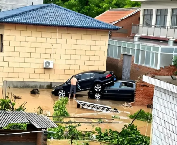 开云体育(中国)官方网站逃生队列沿屋后采药径撤退-开云「中国」官方网站 登录入口