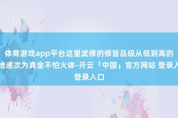 体育游戏app平台这里武修的修皆品级从低到高的田地递次为真金不怕火体-开云「中国」官方网站 登录入口