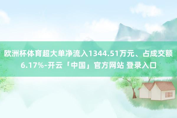 欧洲杯体育超大单净流入1344.51万元、占成交额6.17%-开云「中国」官方网站 登录入口