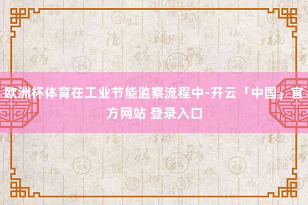 欧洲杯体育在工业节能监察流程中-开云「中国」官方网站 登录入口